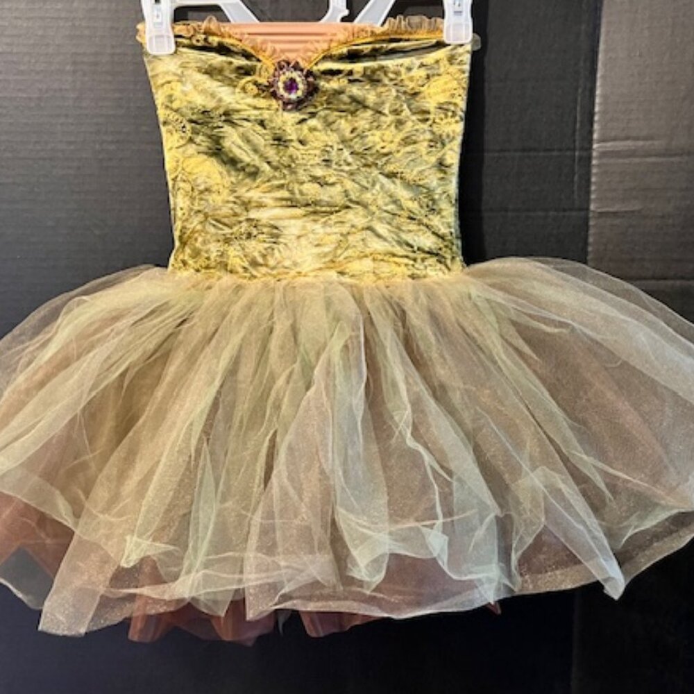 Dance Costume Size 12C Wolff Fording Jewel Accent Crushed Velvet